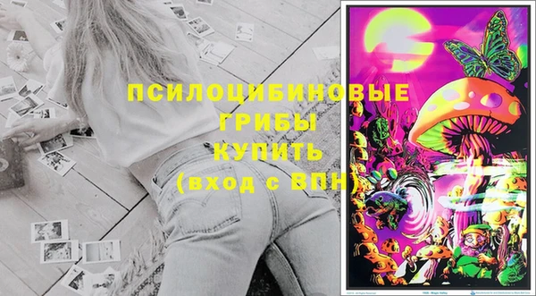 мдпв Кулебаки