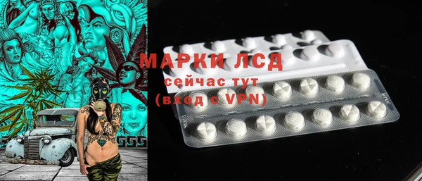 спайс Гатчина