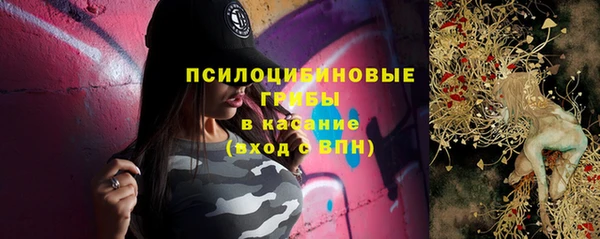 спайс Гвардейск