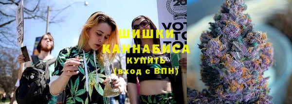 спайс Гвардейск