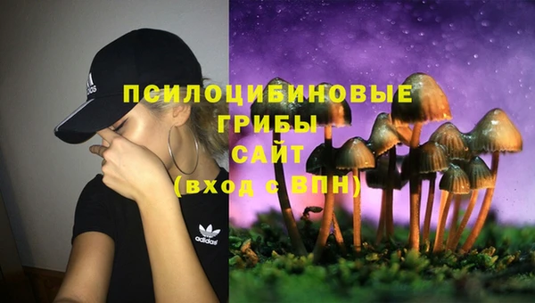 спайс Гатчина