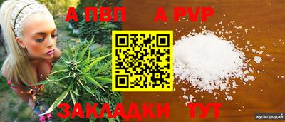 Альфа ПВП Гусев